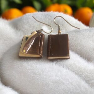 Book With Butterfly Sign earring