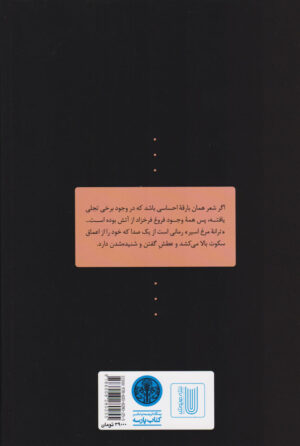 Song of a Captive Bird (English & Persian) - Image 2