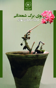 بوی برگ شمعدانی