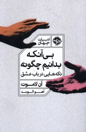 بی آنکه بدانیم چگونه تکه هایی در باب عشق