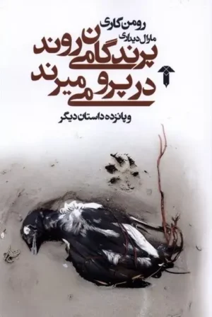 پرندگان می‌روند در پرو می‌میرند